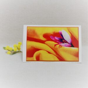 Seeded Greeting Card